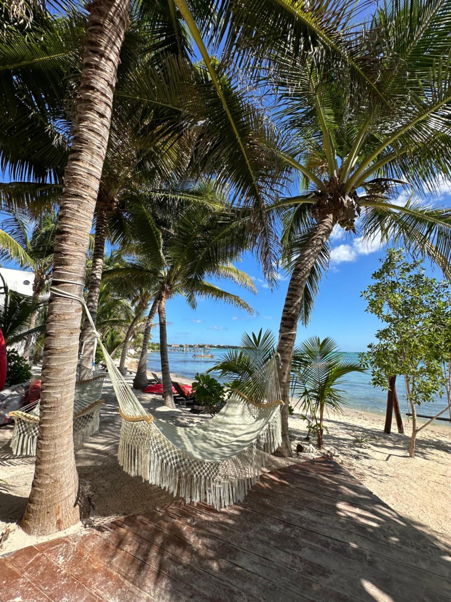 Hotel Alea Tulum Zewnętrze zdjęcie